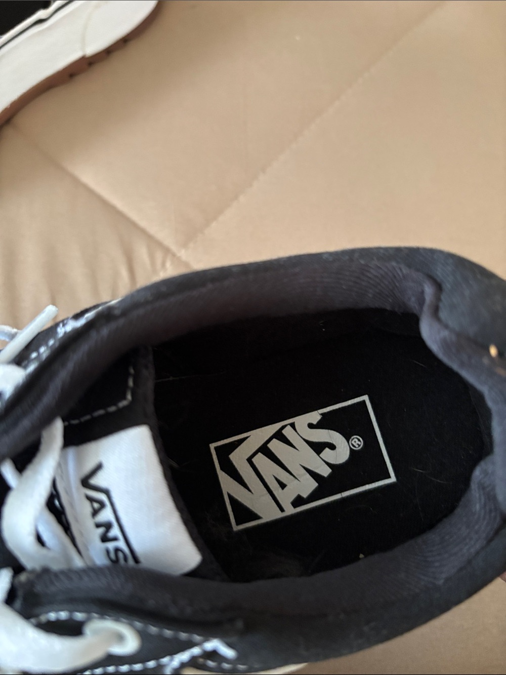 Vans Black Canvas Low-Top Sneakers - Picture 7 of 9